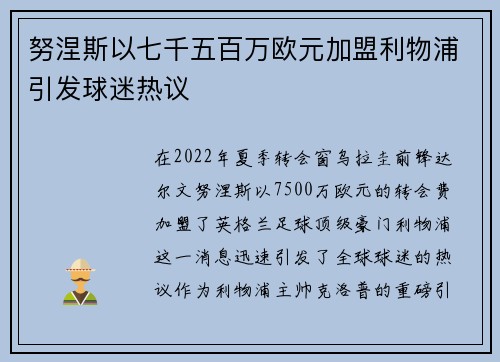努涅斯以七千五百万欧元加盟利物浦引发球迷热议